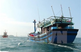 Cứu nạn khẩn cấp tàu cá bị trôi dạt trên biển